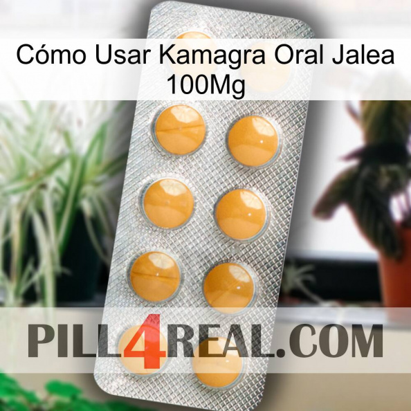 Cómo Usar Kamagra Oral Jalea 100Mg levitra1.jpg